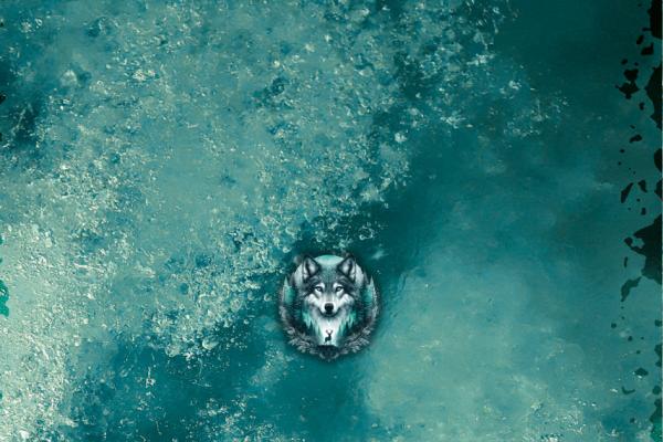 Lupa - Mützen Panel - Jersey